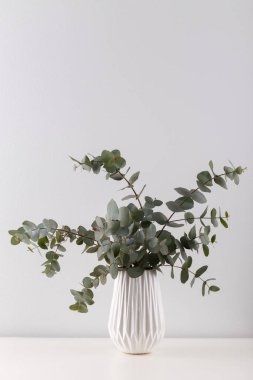 Bir buket okaliptüs.