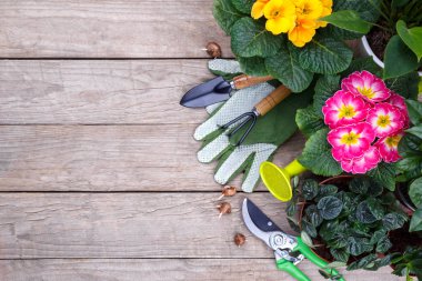 Ahşap zemin üzerinde bahçe aletleri ve çiçekler, kopyalama alanı düz yatıyordu
