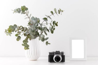 Seramik vazo kamerasında okaliptüs buketi ve gri duvara karşı boş resim çerçevesi, minimalist iç tasarım.