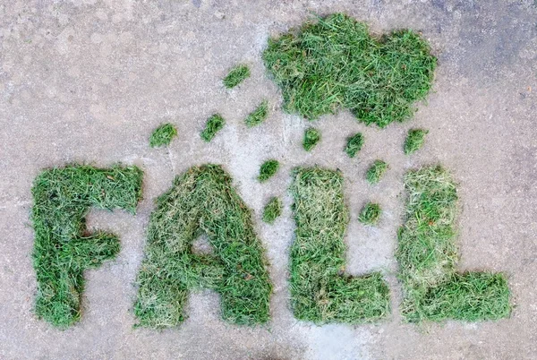 Word sonbahar kurutulmuş yeşil çim bulut ve gri taş zemin üzerine yağmur damlaları ile yapılmış. Sonbahar Yağmurlu hava