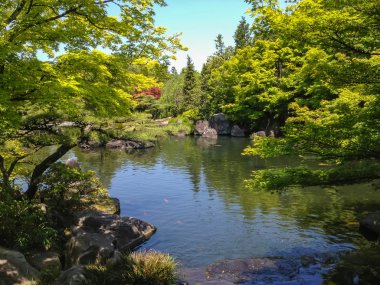 Himeji, Hyogo, Japonya - 8 Mayıs 2013 'te Japonya' nın Himeji kentinde Kokoen Bahçesi. Kokoen Bahçesi Himeji Kalesi 'nin yanında bir Japon bahçesidir..