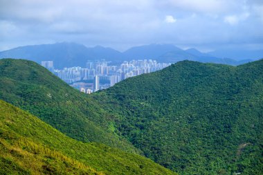 Dragon 's Back dağ yolu, Hong Kong' daki en iyi şehir yürüyüş yolu.