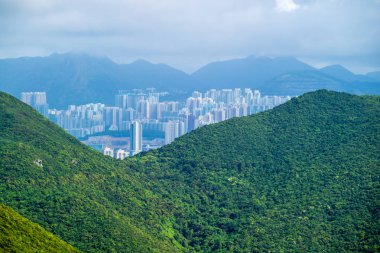 Dragon 's Back dağ yolu, Hong Kong' daki en iyi şehir yürüyüş yolu.