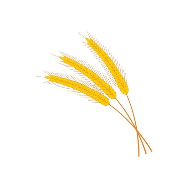小麦的耳朵图 — 图库矢量图片