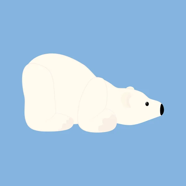 Polar bear illustration — Stock Vector