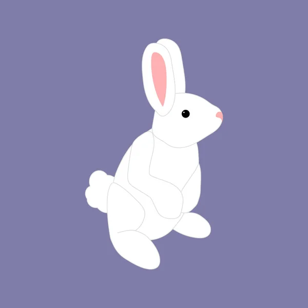 Ilustración conejo blanco — Vector de stock