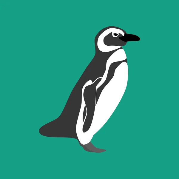 Penguin bird illustration — Stock Vector