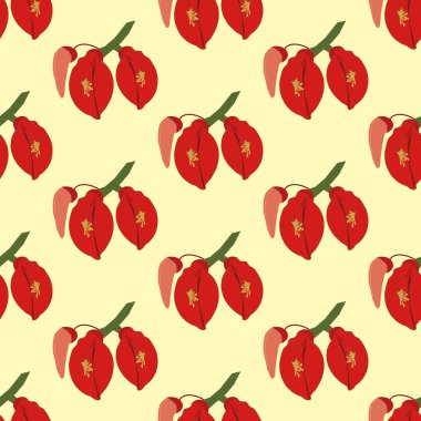 Erythrina çiçekli bitki deseni