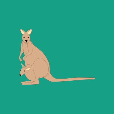 Kanguru hayvan illüstrasyon