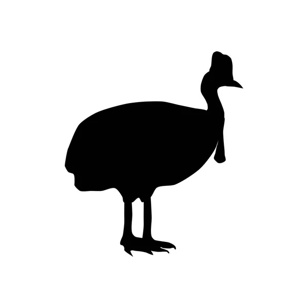 Casuarius bird silhouette — Stock Vector