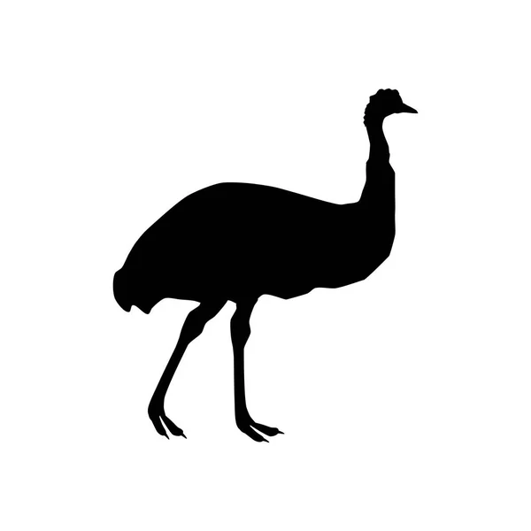타조 emu 실루엣 — 스톡 벡터