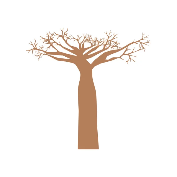Baobab boom illustratie — Stockvector
