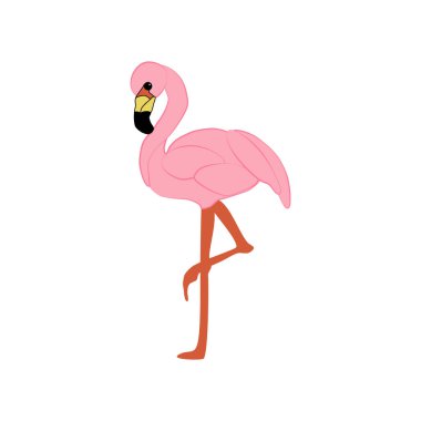 Flamingo kuş çizimi