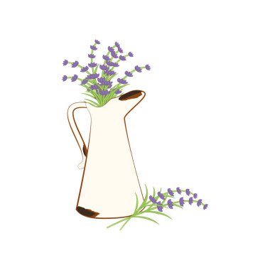 Eflatun paslı sürahi