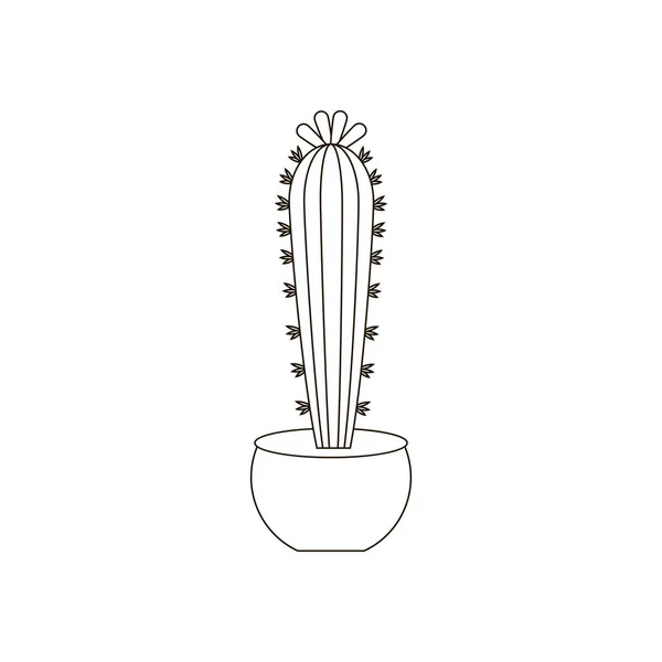 Cactus op de pot illustratie — Stockvector