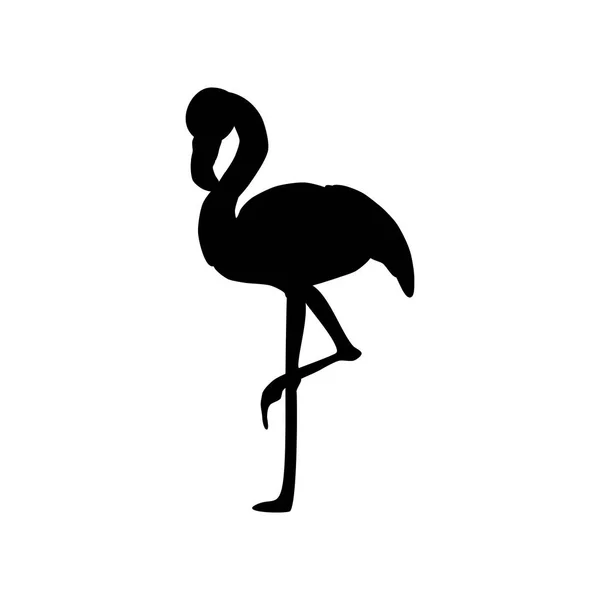 Silueta de ilustración de pájaro flamenco — Vector de stock