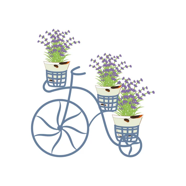 Bicicletta vintage con lavanda — Vettoriale Stock