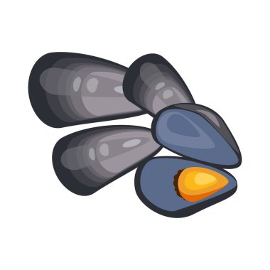Kabuklu deniz ürünleri resimli midyeler beyaz arka planda. Vektör illüstrasyonu