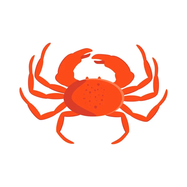 Illustration Fruits Mer Crabe Sur Fond Blanc Illustration Vectorielle — Image vectorielle