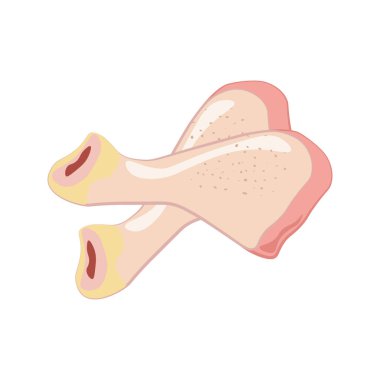 Beyaz arka planda tavuk budu vektör çizimi. Vektör illüstrasyonu