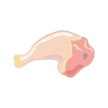 Beyaz arka planda tavuk budu vektör çizimi. Vektör illüstrasyonu