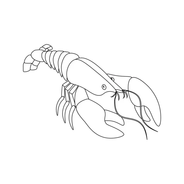 Lobster Seafood Vector Illustration Outline White Background Inglés Ilustración Vectorial — Vector de stock