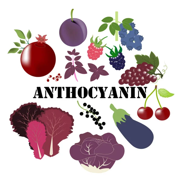 Anthocyanin Bogata Ilustracja Żywności Białym Tle Ilustracja Wektora — Wektor stockowy