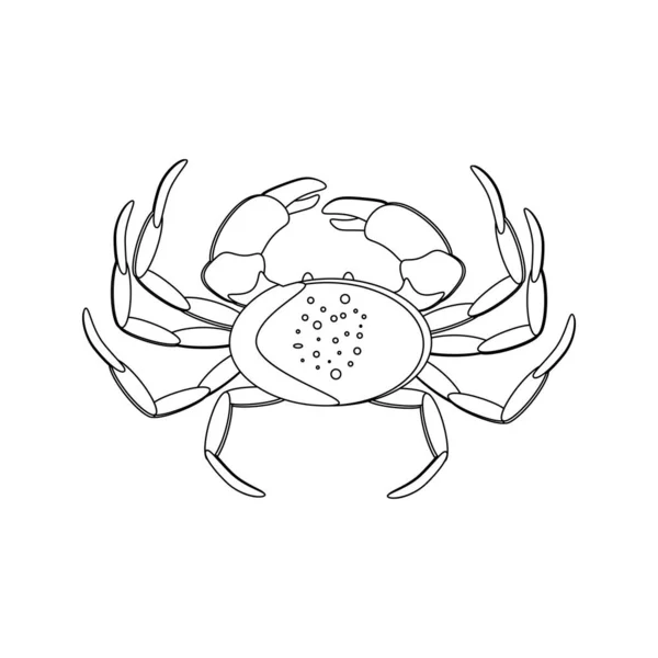 Crab Seafood Vector Illustration Outline White Background Vector Illustration — Stock Vector