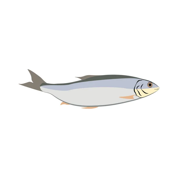 Illustration Poisson Hareng Sur Fond Blanc Illustration Vectorielle — Image vectorielle