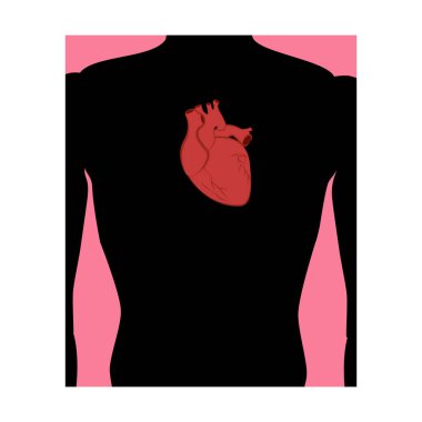 Beyaz arka planda insan kalbi çizimi var. Vektör illüstrasyonu