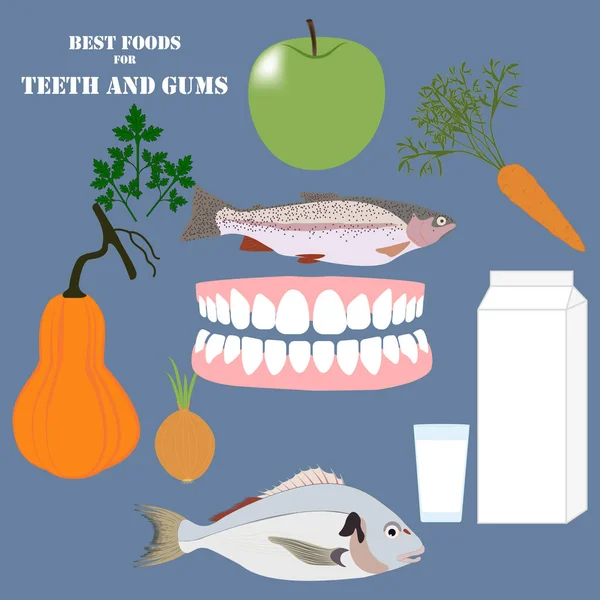 Beste Nahrung Für Zähne Und Zahnfleisch Auf Blauem Hintergrund Vektorillustration — Stockvektor