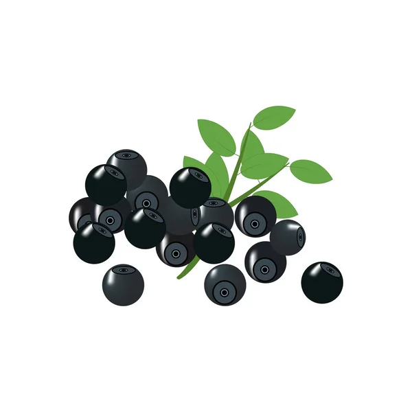 Blaubeeren Vektorillustration Auf Dem Weißen Hintergrund Vektorillustration — Stockvektor