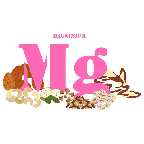 Magnesiumrijke Voedingsmiddelen Illustratie Witte Achtergrond Vectorillustratie — Stockvector