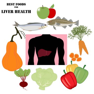 Beyaz arka planda karaciğer sağlığı için en iyi gıdalar. Vektör illüstrasyonu
