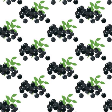 Böğürtlen arkaplanda dikişsiz desen var. Vektör illüstrasyonu