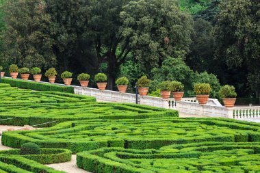 Villa Doria Pamphili Via Aurelia Antica, dekoratif turuncu ile Flowerspots
