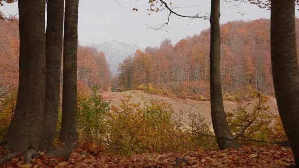 Sonbahar sonbahar Bolshoe göl kenarında. Göl Khmelevsky, Krasnaya Polyana, Kafkasya, Rusya Federasyonu — Stok video