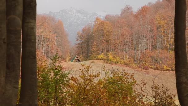 Outono cai na reserva caucasiana. Lagos Khmelevsky, Krasnaya Polyana — Vídeo de Stock