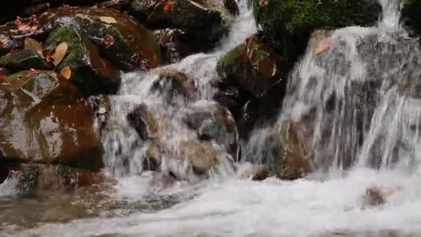 Atemberaubender Gebirgsfluss im Herbst aus nächster Nähe. Kaukasus, Russland — Stockvideo