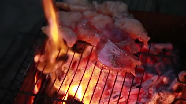 Chef coloca filé de peixe-gato whithout pele em uma grelha. Fogo. Carvão queimado — Vídeo de Stock