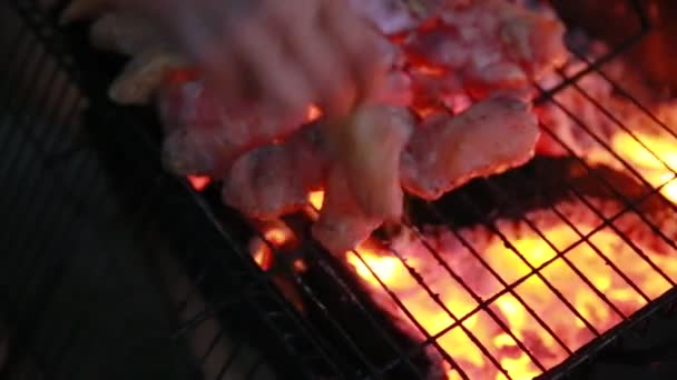 Chef puts catfish fillet whithout skin onto a grill. Fire. Coals burn — Stock Footage Chef puts catfish fillet whithout skin onto a grill. Fire. Coals burn Video Clip