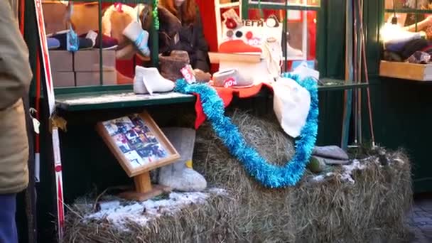 Gli acquirenti guardano la merce alla fiera di Natale nell'isola di New Holland — Video Stock