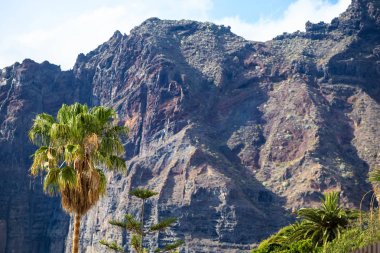 Arka plan Los Gigantes kayalıklarla, Tenerife, İspanya yüksek Palm'da. Arial görünümü