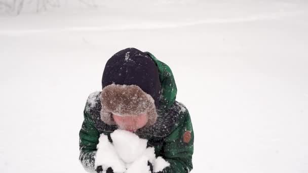 Menino pré-escolar alegre bonito se divertindo com neve. País das maravilhas do inverno — Vídeo de Stock