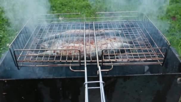 Vaření ze tří makrela na grilu — Stock video