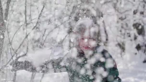 Alegre niño encantador sacude una rama cubierta de nieve, cámara lenta — Vídeos de Stock