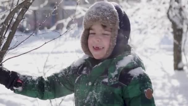 Χαρούμενη όμορφο παιδί κουνάει ένα κλαδί χιονισμένο, αργή κίνηση — Αρχείο Βίντεο