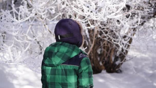 Joyful charmiga barn skakar en snötäckt gren, Slowmotion — Stockvideo