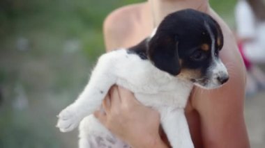 Yarı çıplak, 8 yaşında bir çocuk bir köpek yavrusu tutuyor.