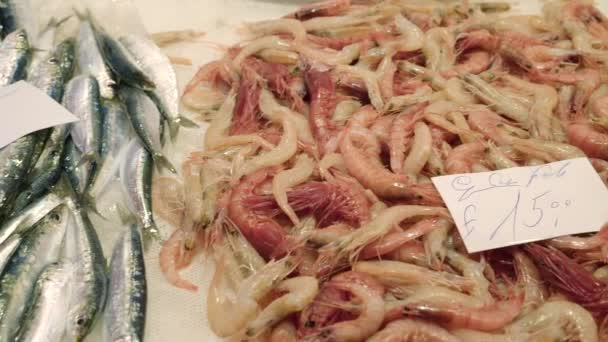 Contador de mercado no Mediterrâneo. Peixe fresco e vários camarões em gelo picado — Vídeo de Stock